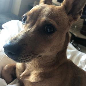 Meet your Posher, Patrick